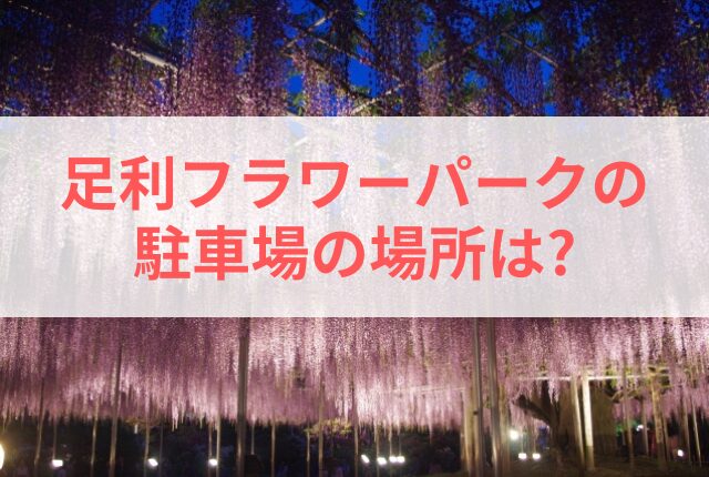 あしかがフラワーパーク 駐車場 場所