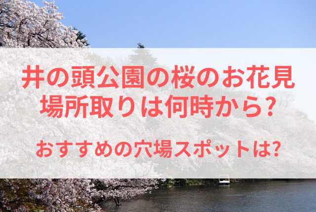 井の頭公園 桜 場所取り