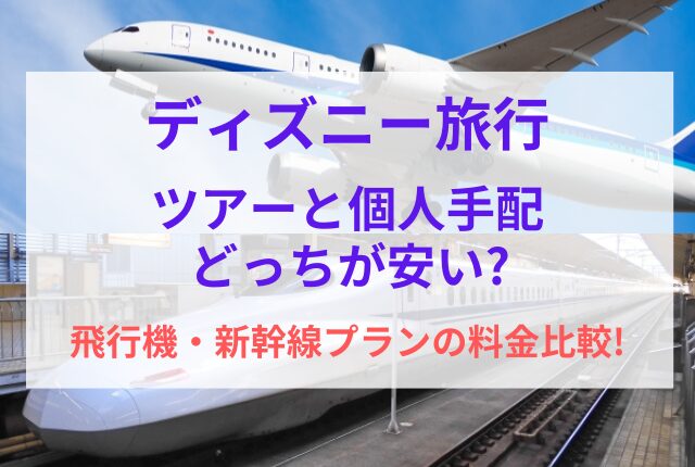 ディズニー ツアー 個人 どっちが安い