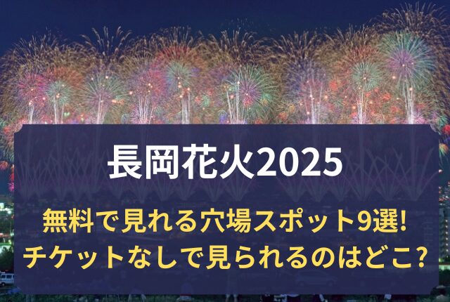 長岡花火 2025 穴場