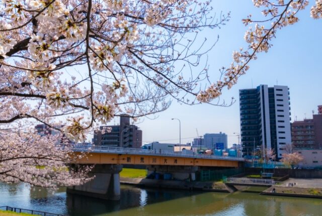 新荒川大橋