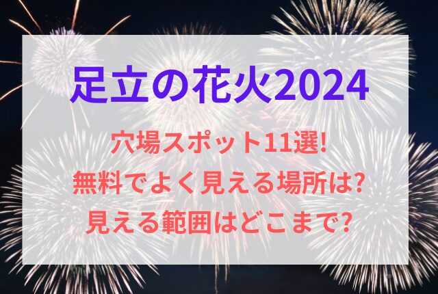 足立の花火 穴場スポット