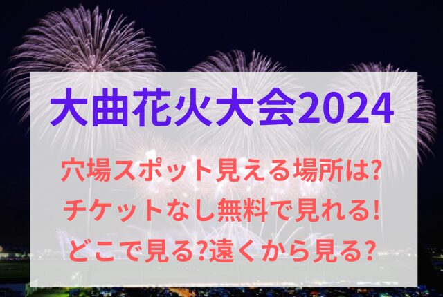 大曲 花火 穴場スポット