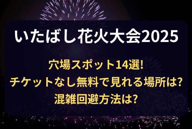 板橋花火大会 穴場スポット