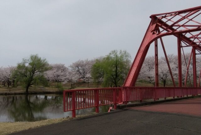 越路河川公園