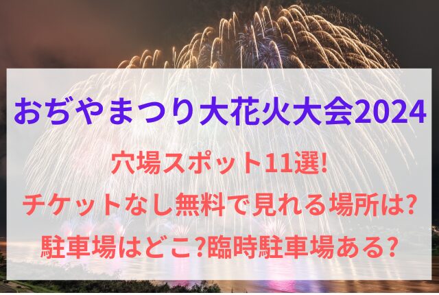 おぢやまつり大花火大会 穴場スポット