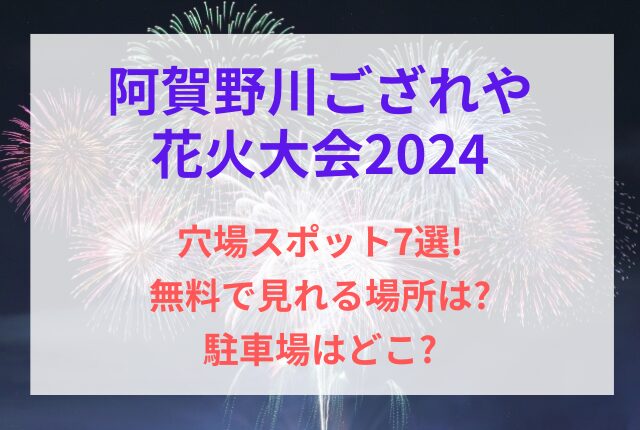 阿賀野川ござれや花火 穴場