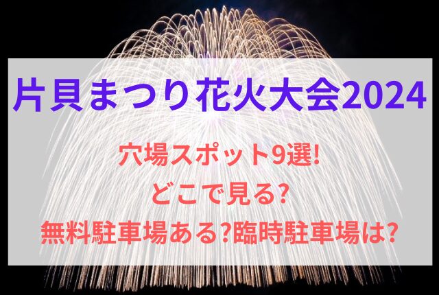 片貝まつり 花火 穴場スポット