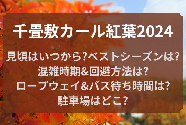 千畳敷カール 紅葉 見頃