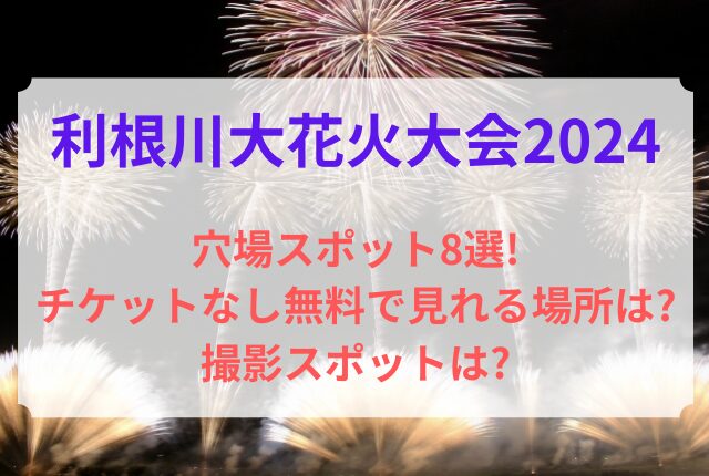 利根川花火大会 穴場