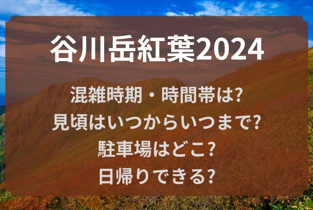 谷川岳 紅葉 混雑