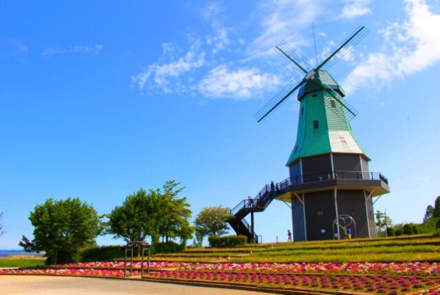 霞ヶ浦総合公園