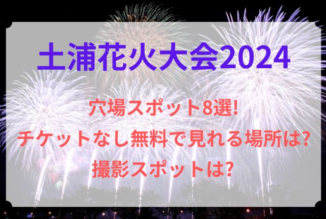 土浦花火大会 穴場