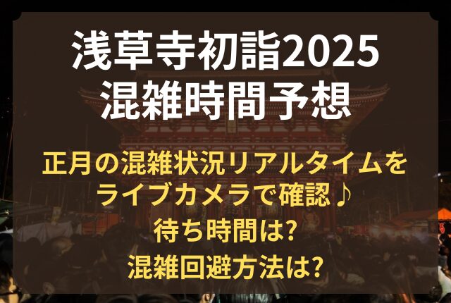 浅草寺 初詣 混雑