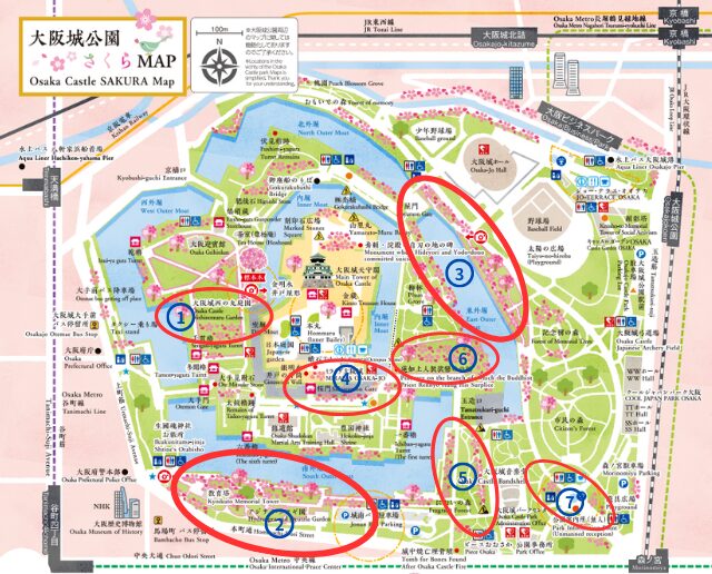 大阪城公園さくらMAP