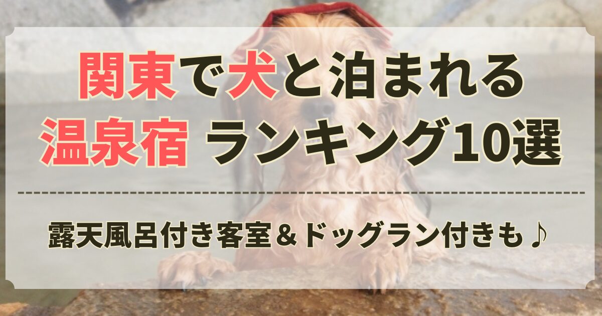 犬 と 泊まれる 温泉 宿 ランキング 関東