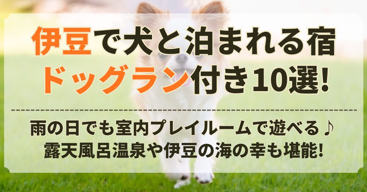 伊豆 犬 と 泊まれる 宿 ドッグラン 付き