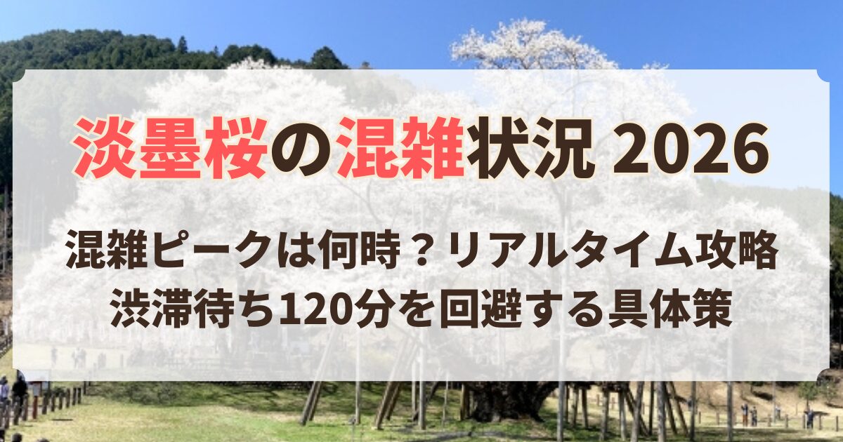 淡墨桜 混雑 状況